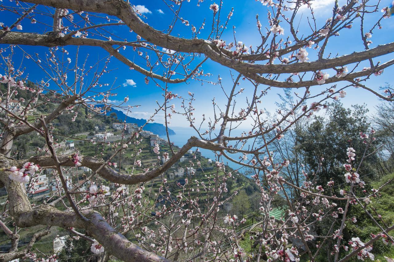 Casa Pina Διαμέρισμα Αμάλφι Εξωτερικό φωτογραφία