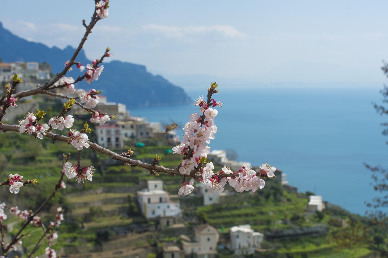 Casa Pina Διαμέρισμα Αμάλφι Εξωτερικό φωτογραφία