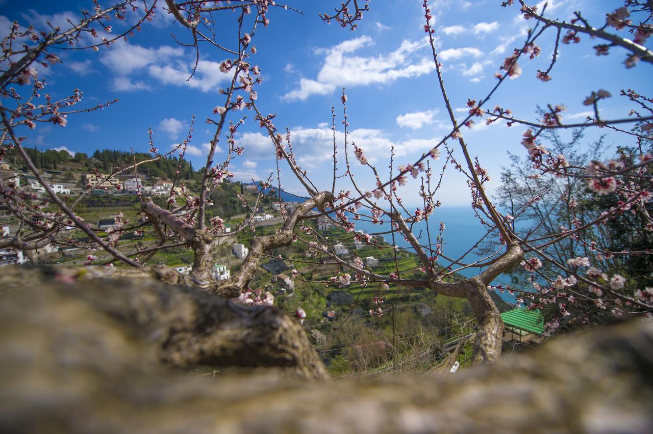Casa Pina Διαμέρισμα Αμάλφι Εξωτερικό φωτογραφία